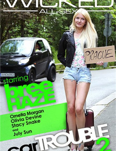 Неприятности С Автомобилем 2 / Car Trouble 2 (2016) HD 720